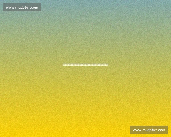 围绕《以花非花》电视剧剧情的深度梳理全景式故事概述与情感脉络呈现