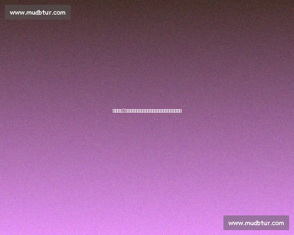 《欢乐颂2：五位都市女性在职场与感情生活中的成长与抉择》