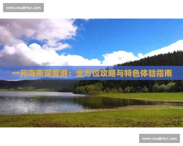 零基础自学自媒体运营从入门到精通的系统成长路线攻略全方位指南